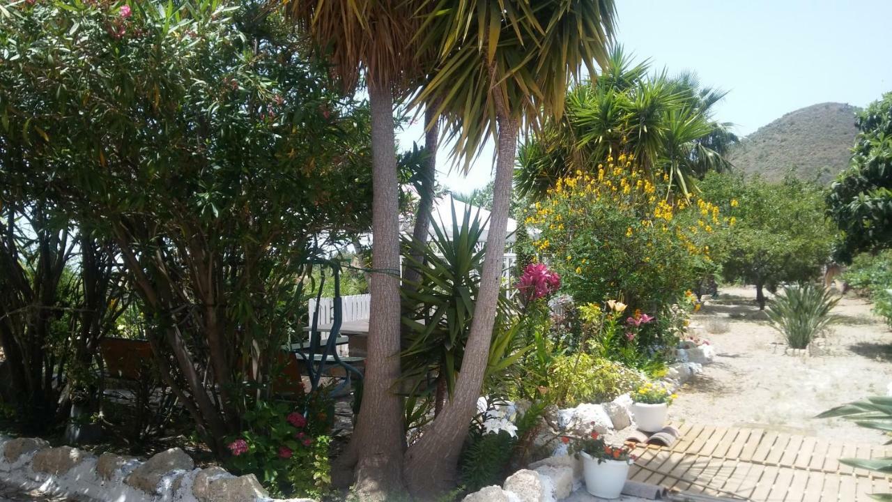 Finca Dulce Maikel Granadilla De Abona Ngoại thất bức ảnh